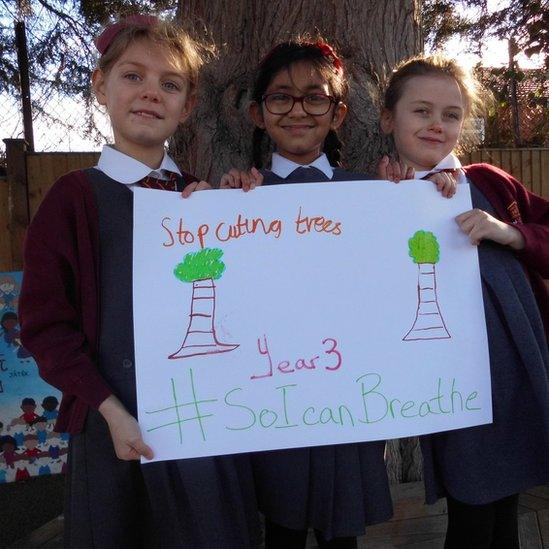 Phoebe (left), Joleen (centre), Isobel (right) holding a picture of some trees with the words "Stop cutting trees, year 3, so I can breather."