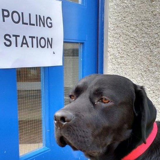 Black Labrador Sirius, Guardian of the Night, belonging to Rev James Bissett