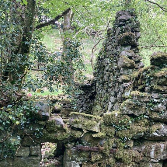 Olion hen felin wlân yn Nolgellau