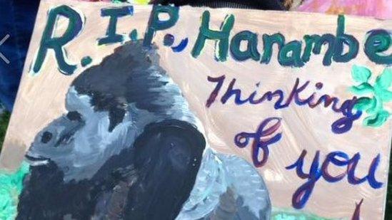 Painting of gorilla. Picture reads 'Justice for Harambe'