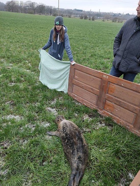 Volunteers with the seal