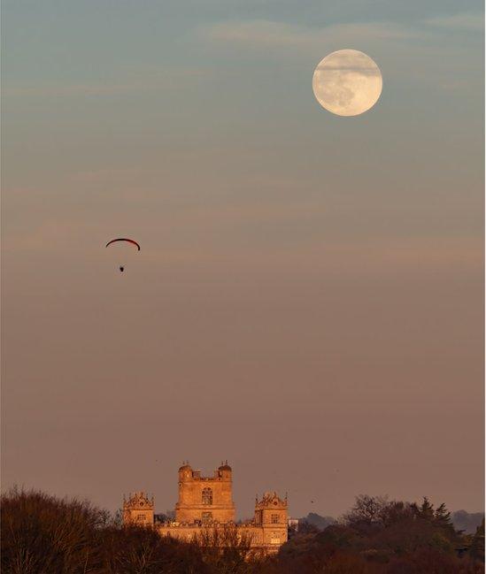 Wolf Moon at Wollaton Hall