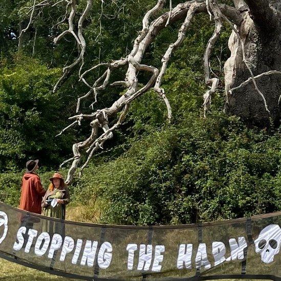 A banner reading Stopping the harm at the site of the oak tree