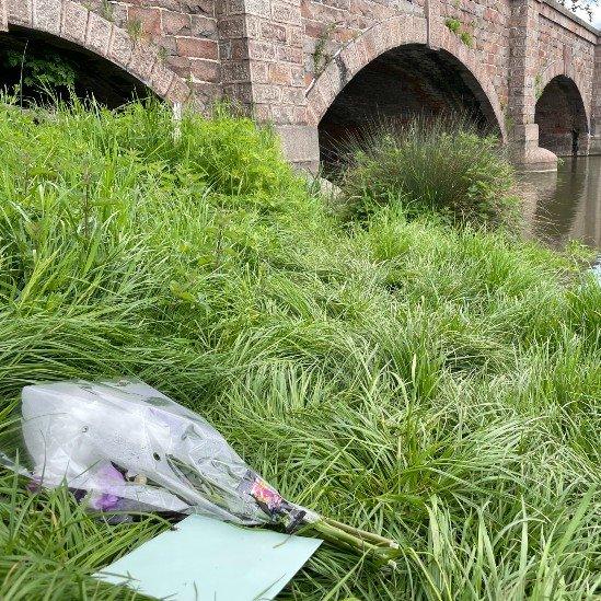 Flowers on the grass near the River Soar