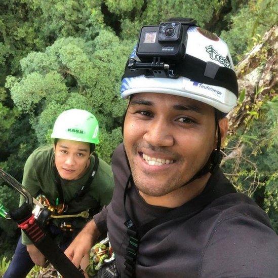 Climbers on the way up the tree