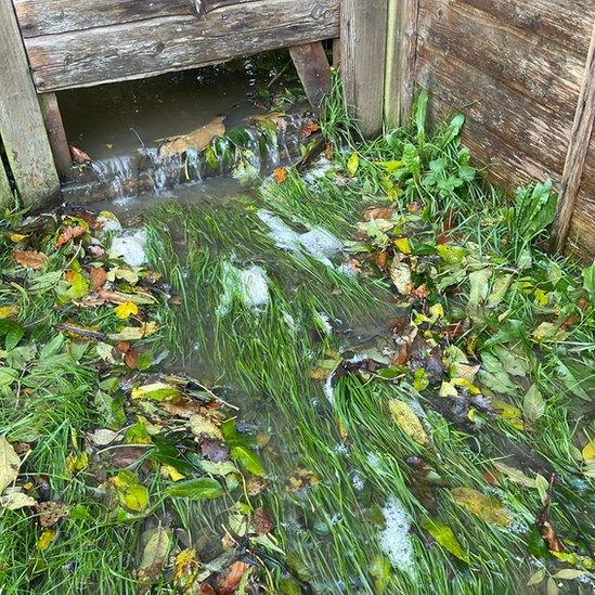 Floodwater in a garden