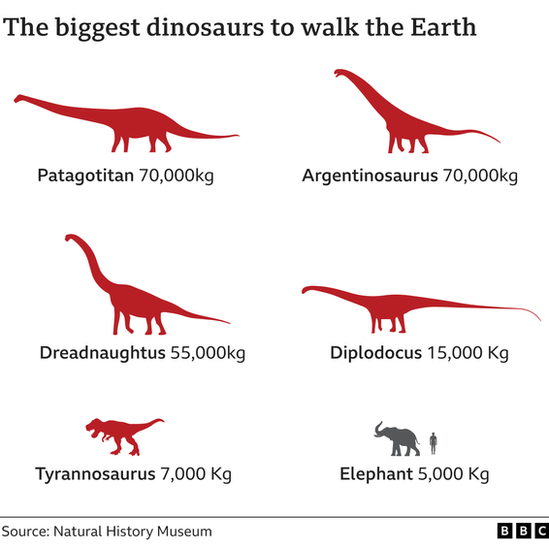 Size comparison