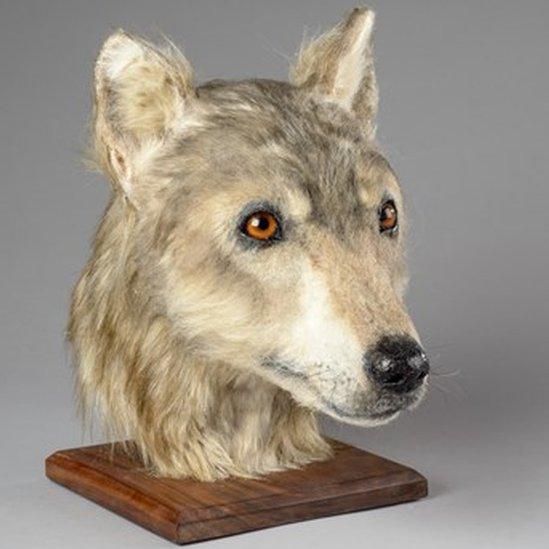 Neolithic dog's head