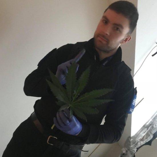 James Butterfield holding a cannabis leaf