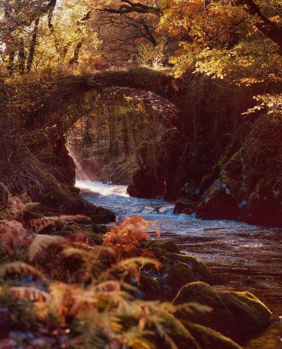 Pont Rufeinig Penmachno yn yr hydref