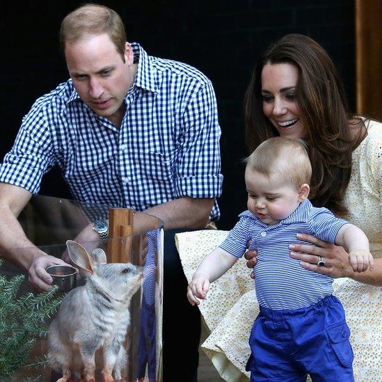 The Duke and Duchess of Cambridge show Prince George a bilby at Sydney's Taronga Zoo in 2014