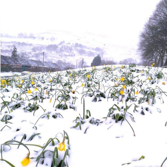 Pontycymer, Pen-y-bont ar Ogwr