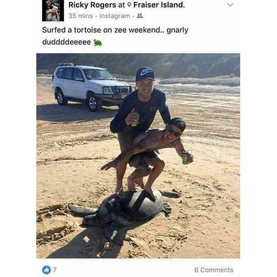 Instagram post by Ricky Rogers of two men 'surfing' on the back of a turtle on a beach