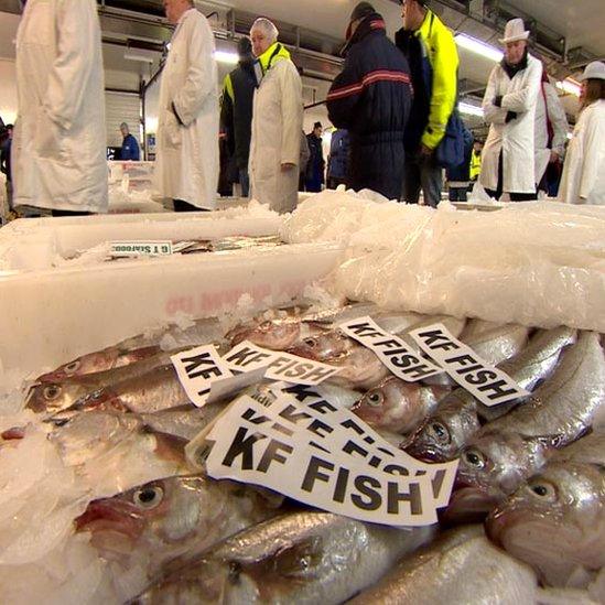 Peterhead fish market