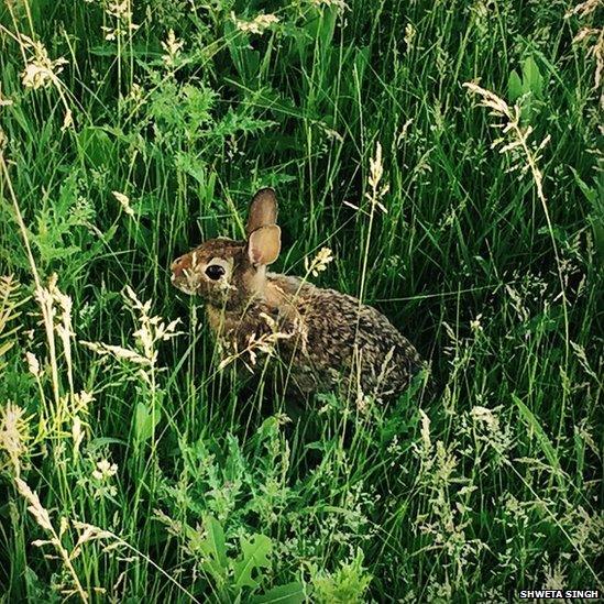 Your pictures: Hidden - BBC News