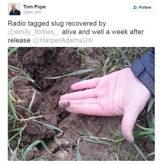 The tagged slug