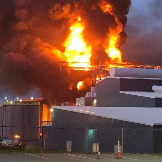 Flames rise from the plant