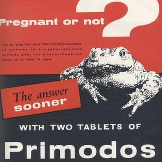 The advert for Primodos