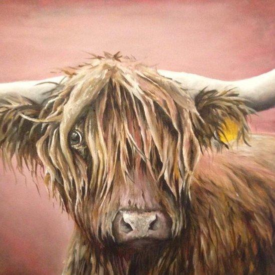 highland bull