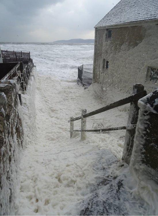 Ewyn môr yn debyg i eira ym Menllech, Ynys Môn