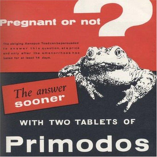 Primodos