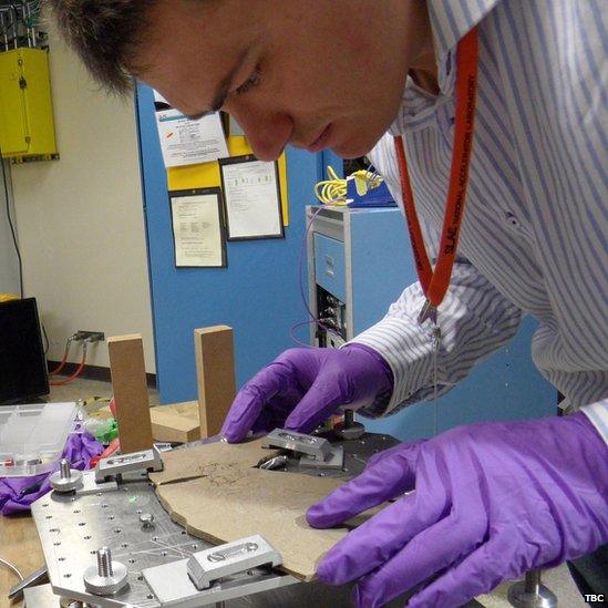 Fabien Knoll examines the fossil