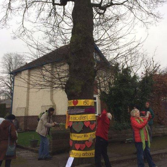 The tree has been decorated