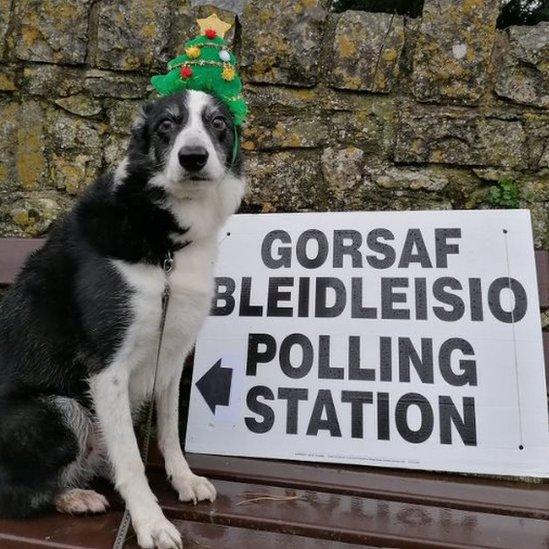 Twm insisted on wearing his Christmas tree headband for his polling station visit in the Vale of Glamorgan, Wales