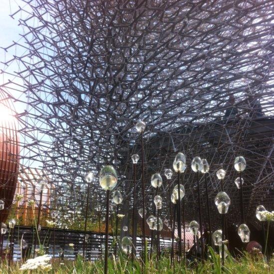 Wolfgang Buttress' Hive