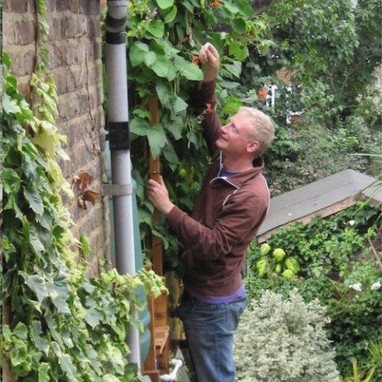 Mark Ridsdill-Smith up a ladder harvesting runner beans