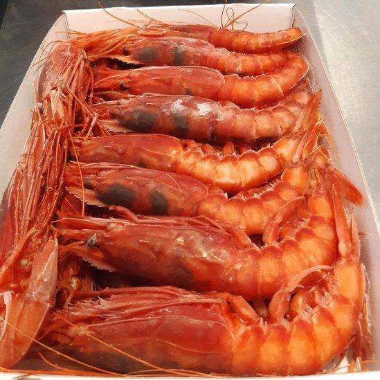 Red prawns