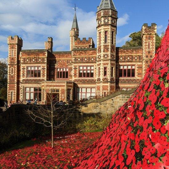 Saltwell Park poppies