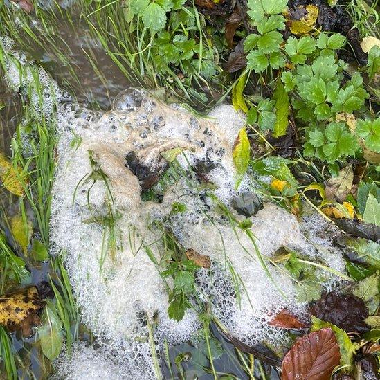 A muddy patch in a garden