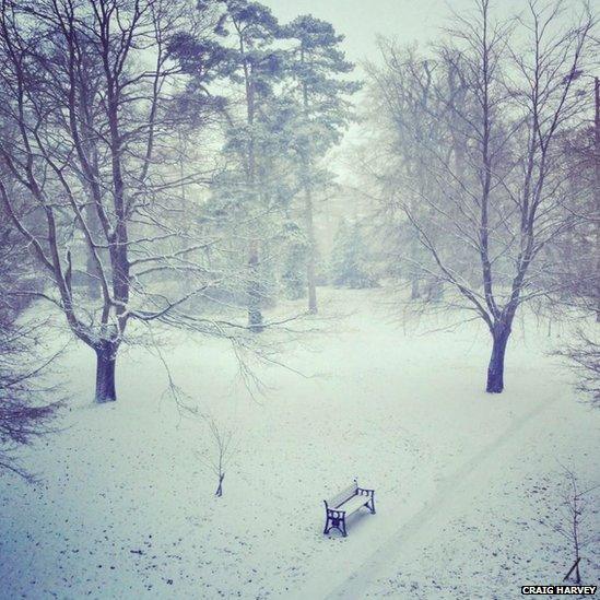 Beech Hurst Park in Andover