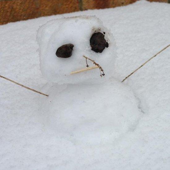 "Snowman" in Fareham