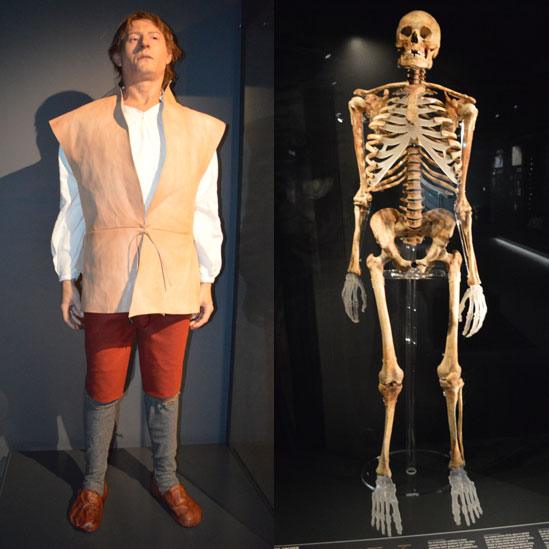 The skeleton and reconstruction of an archer found onboard the Mary Rose