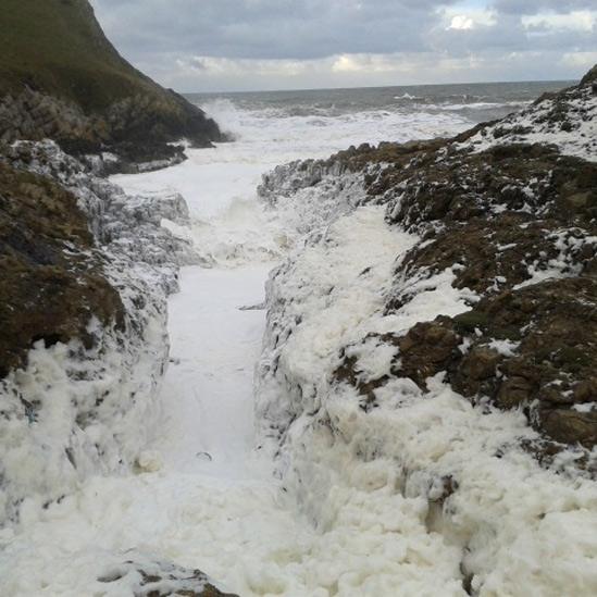 Rancid fat washed ashore at Mewslade, Gower, Swansea