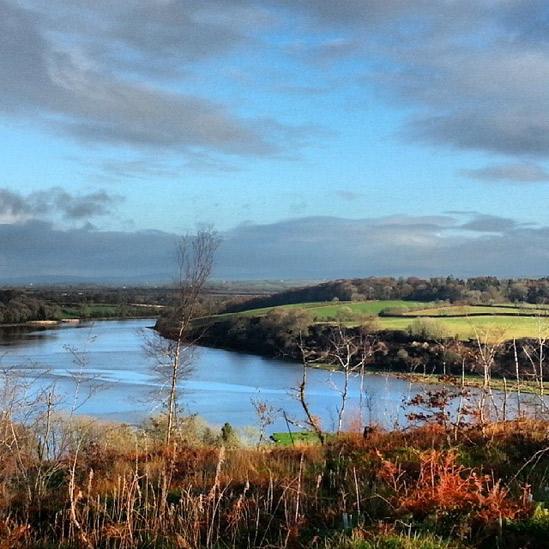 Western Cleddau from Little Milford Wood