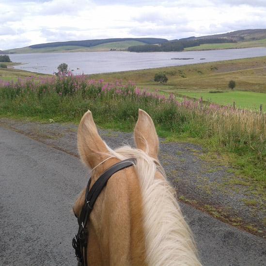 Approaching Llyn Brenig on horseback