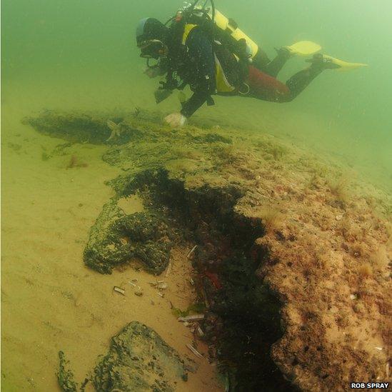 A diver explores the underwater forest