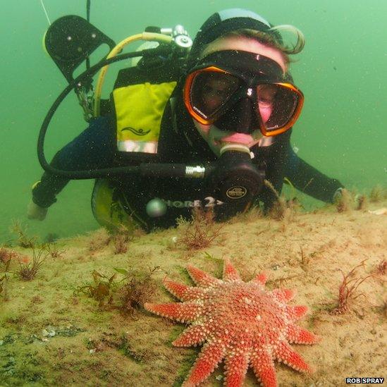 A diver explores the underwater forest