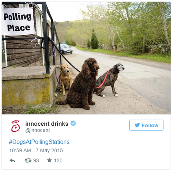 DogsAtPollingStations