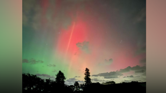 A turquoise, darker green and red-ish pink sky with a shadowy tree border beneath it