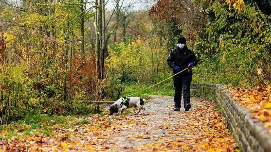 A dog, on a yellow lead, is sniffing at the ground while its handler walks behind it. The path they are walking on is covered in orange and red leaves. 