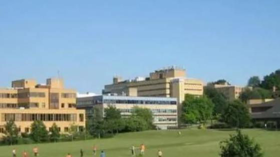 The University of Surrey campus