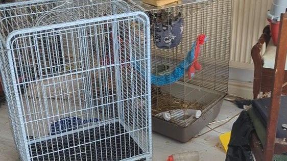 Cages where rats were kept by Sarah Jordan