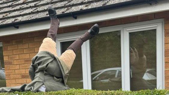 A lower half of a torso with legs sticking out of a hedgerow. The upside down scarecrow is wearing brown boots, a pair of light brown trousers and a green tweed jacket.