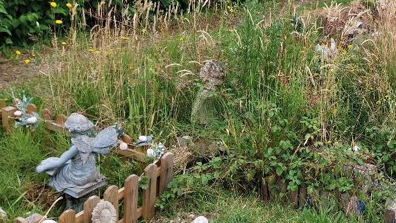 The overgrown graveyard at in the children's section of Langney Cemetry