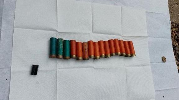 A row of 15 shells, for the shotgun, lay out on a piece of paper. Three are a turquoise colour and the rest are a burnt orange colour.