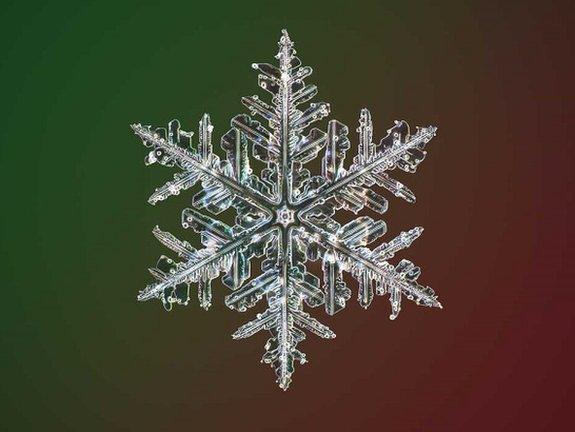 Capturing the image of a snowflake is difficult